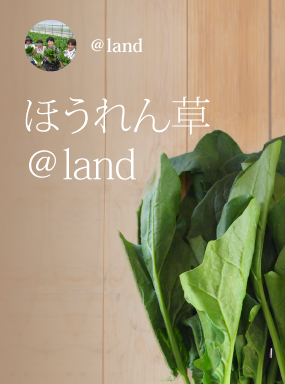 ほうれん草＠ｌａｎｄ