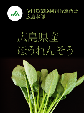広島県産ほうれんそう