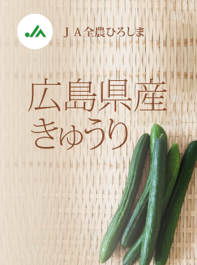 広島県産きゅうり 