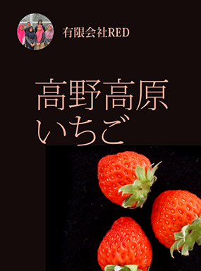 高野高原いちご