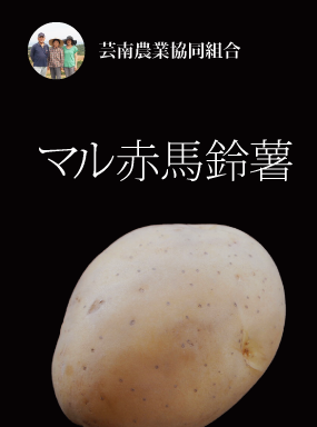 マル赤馬鈴薯