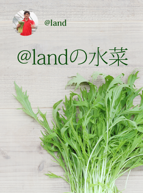 水菜 @land