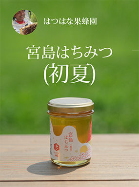 はつはな果蜂園の宮島はちみつ (初夏)
