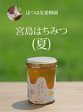 はつはな果蜂園の宮島はちみつ (夏)