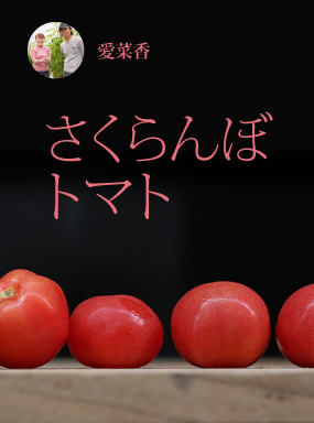 愛菜香プレミアムミニ