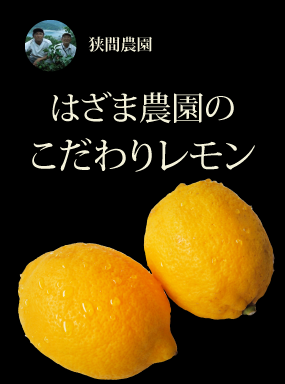 はざま農園のこだわりレモン