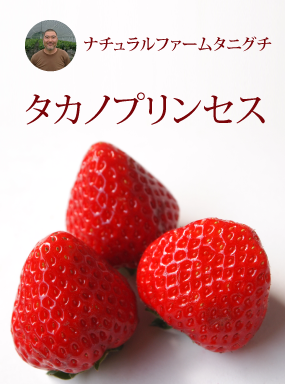 タカノプリンセス