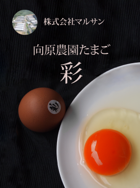 向原農園たまご　彩