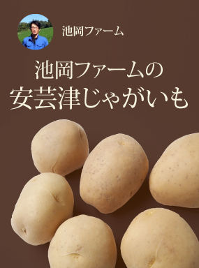 池岡ファームの安芸津じゃがいも