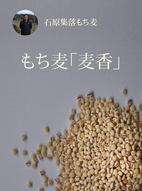 もち麦「麦香」
