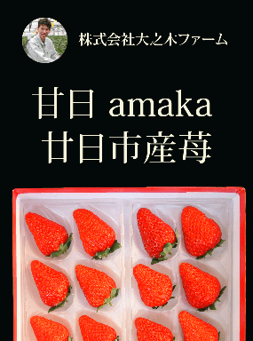 甘日～amaka～（廿日市産苺）　