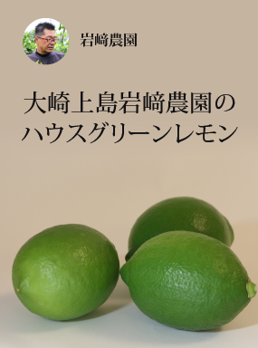大崎上島岩﨑農園のハウスグリーンレモン