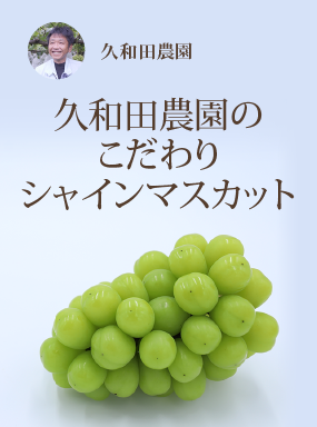 久和田農園のこだわりシャインマスカット