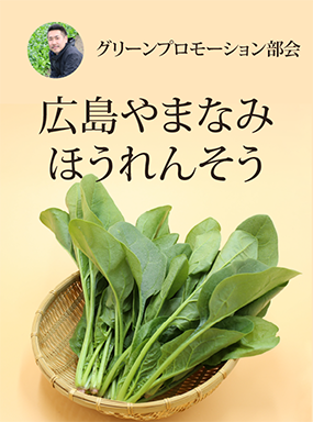 広島やまなみほうれんそう