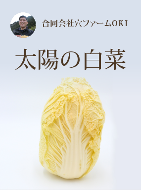 太陽の白菜