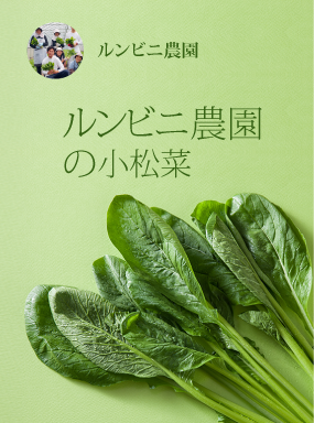 ルンビニ農園の小松菜