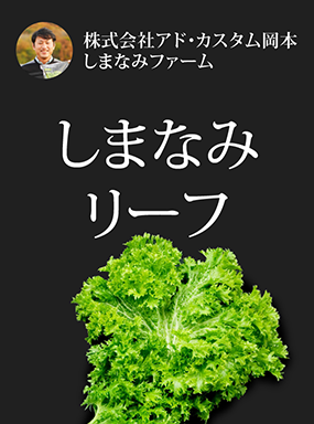 しまなみリーフ