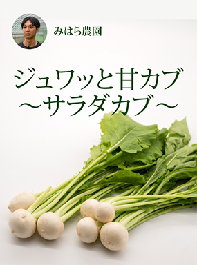 ジュワッと甘カブ～サラダカブ～