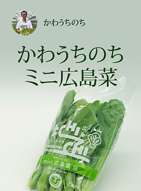 かわうちのち　ミニ広島菜