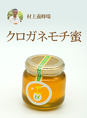 クロガネモチ蜜