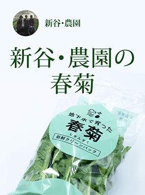 新谷・農園の春菊