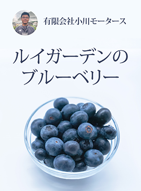 ルイガーデンのブルーベリー