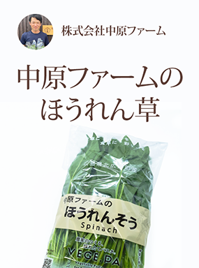 中原ファームのほうれん草