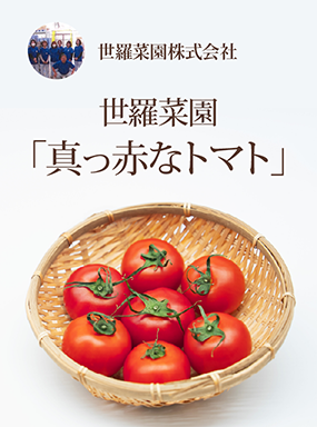 世羅菜園「真っ赤なトマト」