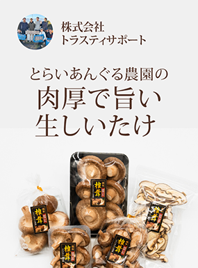 とらいあんぐる農園の肉厚で旨い生しいたけ