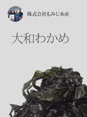 大和わかめ　（湯通し塩蔵わかめ）