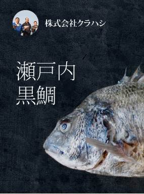 瀬戸内　黒鯛