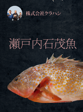 瀬戸内　石茂魚