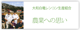 大和白竜レンコン生産組合