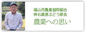 福山市農業協同組合　神石高原ぶどう部会
