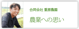 合同会社重原農園