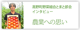 高野町野菜組合とまと部会