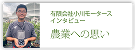 有限会社小川モータース